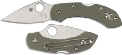 Spyderco Knives: Spyderco Dragonfly, Foliage Green G10, SP-C28GPFG