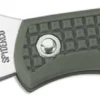 Spyderco Knives: Spyderco Ladybug 3 Knife, Foliage Green, SP-LFGP3